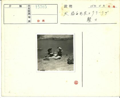 河边洗衣日常.jpg