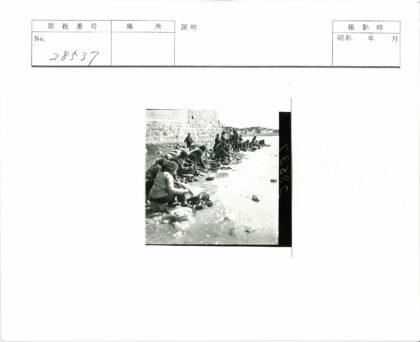 河边洗衣的乡村生活.jpg