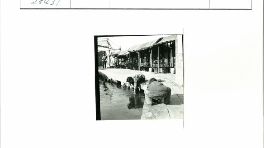 河边洗衣的市井生活.jpg