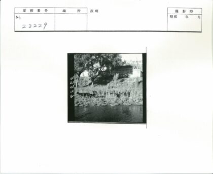 河边牛群与建筑风景.jpg