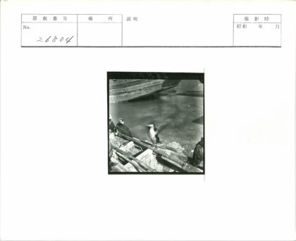 河边竹竿栖鸟船影.jpg