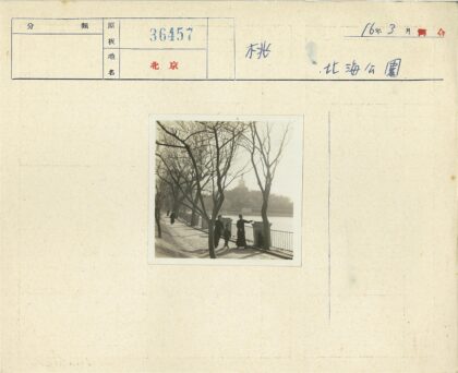 河边绿荫小路与远眺建筑.jpg