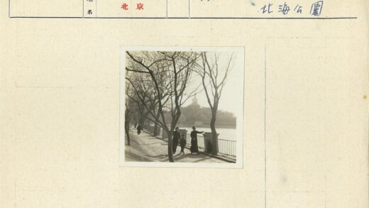 河边绿荫小路与远眺建筑.jpg