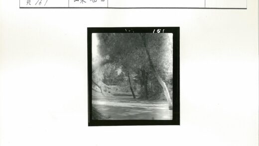 河边绿荫石墙自然风景.jpg