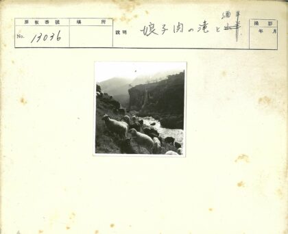河边羊群与山崖瀑布.jpg