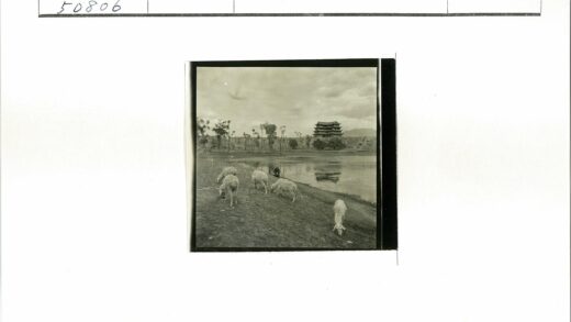 河边羊群与山间传统建筑.jpg
