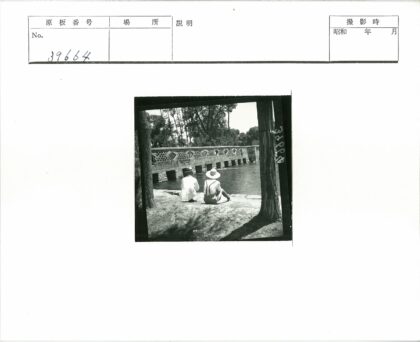 河边草地上的石桥与树影.jpg
