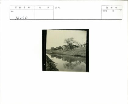 河边鹅群与绿茵建筑.jpg