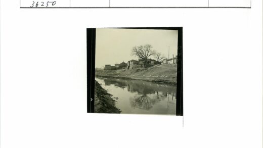 河边鹅群与绿茵建筑.jpg