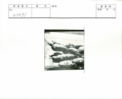 油炸糕点特写堆叠展示.jpg