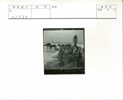 沼泽地牛车劳作采集场景.jpg