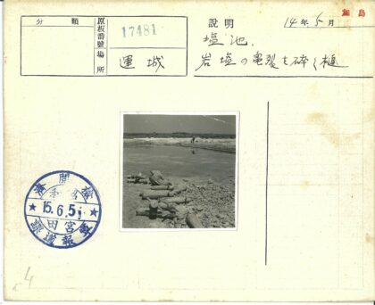 沼泽行人手推车木板景.jpg