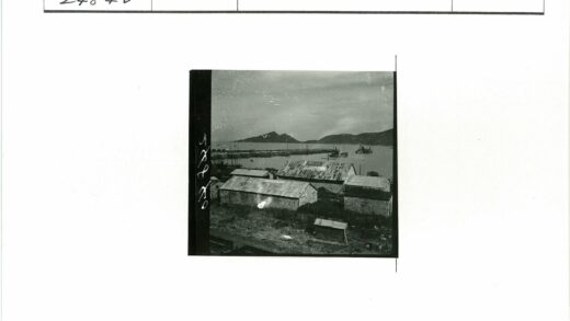 沿海码头金属屋顶老建筑.jpg