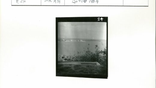 沿海草地俯瞰宁静水域远景.jpg