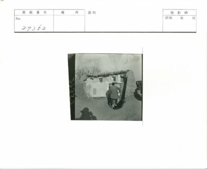 泥土木构建筑与枯树景观.jpg
