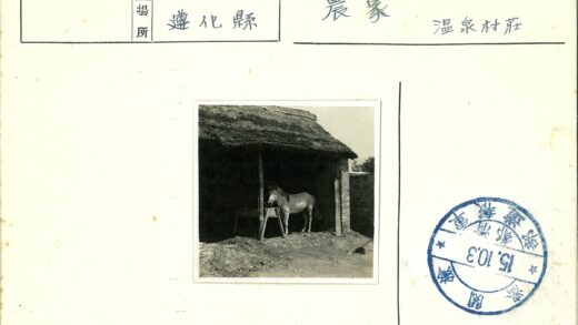 泥泞地马棚石墙小屋.jpg