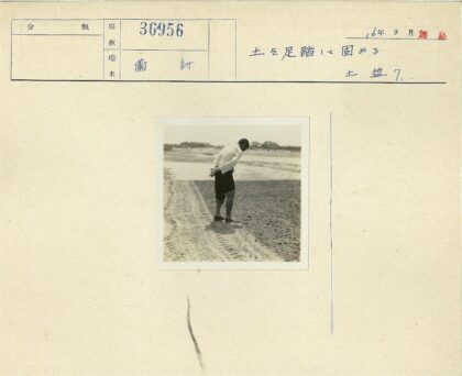 泥泞小路与远处建筑.jpg