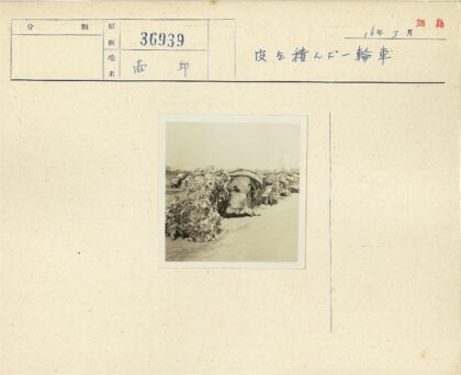 泥泞小路满载小车远眺建筑.jpg