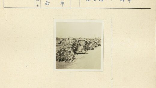 泥泞小路满载小车远眺建筑.jpg