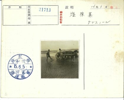 泥泞田野牵牛拉车远山云景.jpg
