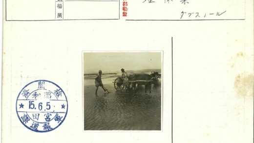 泥泞田野牵牛拉车远山云景.jpg