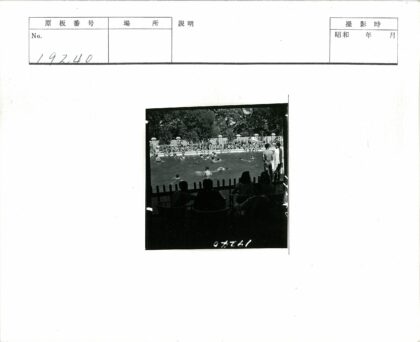 泳池夏日人群与树影.jpg