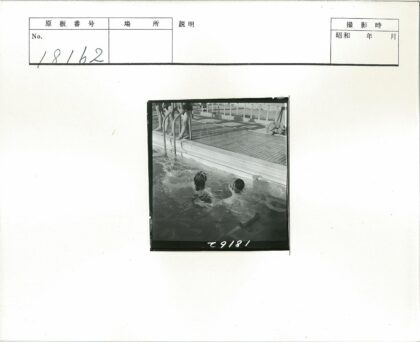泳池游泳与扶栏观景.jpg