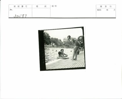 泳池边夏日聚会树荫下.jpg