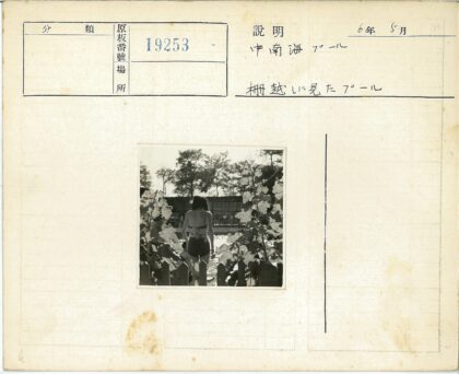 泳衣美女与鲜花泳池景.jpg