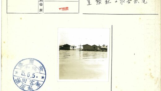 洪水淹没房屋电线杆树木.jpg