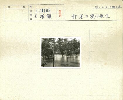 洪水淹没树木与木船.jpg