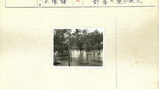 洪水淹没树木与木船.jpg