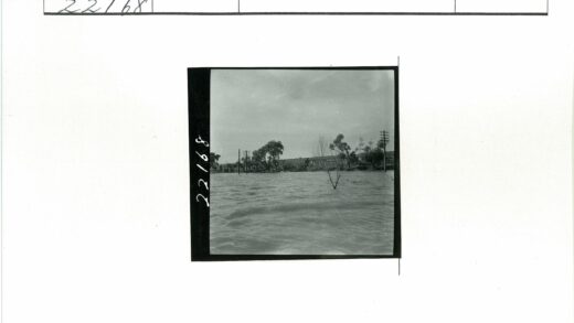 洪水淹没的树木与建筑.jpg