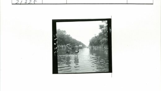 洪水淹没街道汽车树木水中行人.jpg