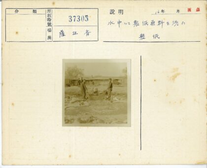 浅水区两人搬运大布物品.jpg