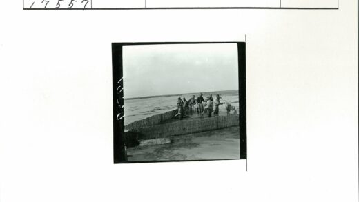 浅水区木建筑工人作业.jpg