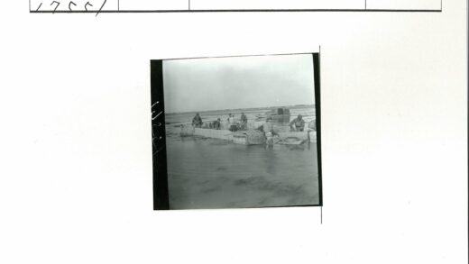 浅水区渔民集体劳作.jpg