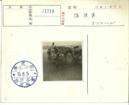浅水区牧牛人与山脉.jpg