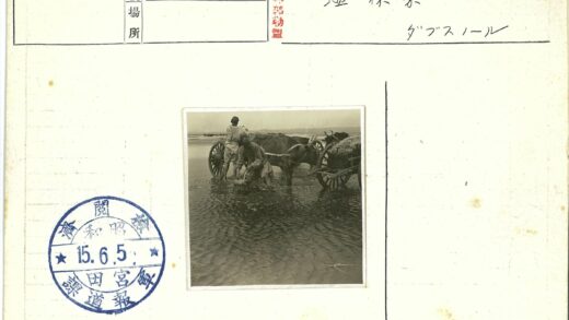 浅水区牧牛人与山脉.jpg