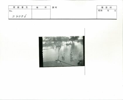 浅水涉足与髓头盔岸边.jpg