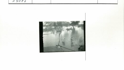 浅水涉足与髓头盔岸边.jpg