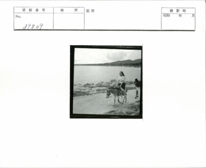 海岸山路骑驴行.jpg