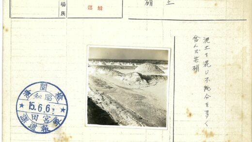 海岸沙盐地貌景观.jpg