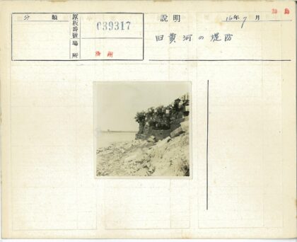 海岸石墙植物遗迹.jpg