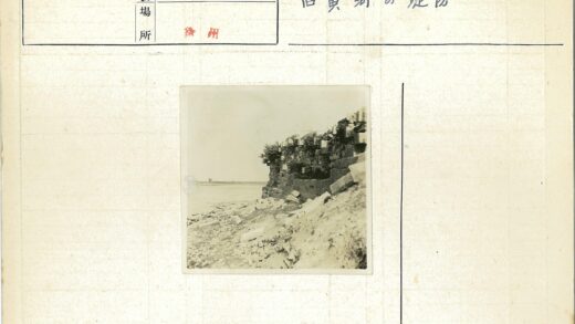 海岸石墙植物遗迹.jpg