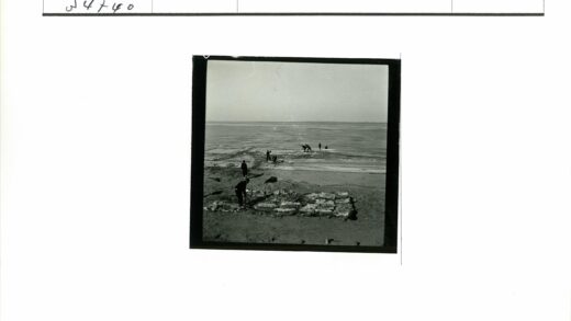 海岸线工人与石构水景.jpg