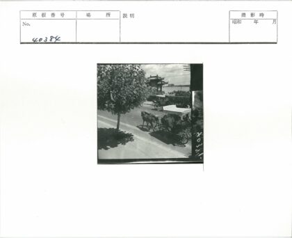 海滨古街马车与树影.jpg