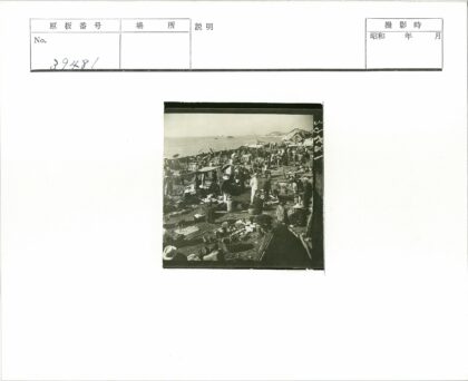 海滨市场繁忙交易场景.jpg