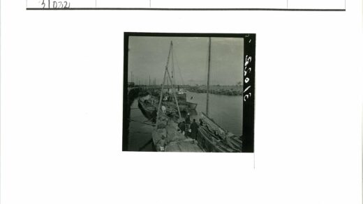 海滨繁忙船只停靠景观.jpg