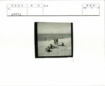 海滩休闲泳装夏日时光.jpg